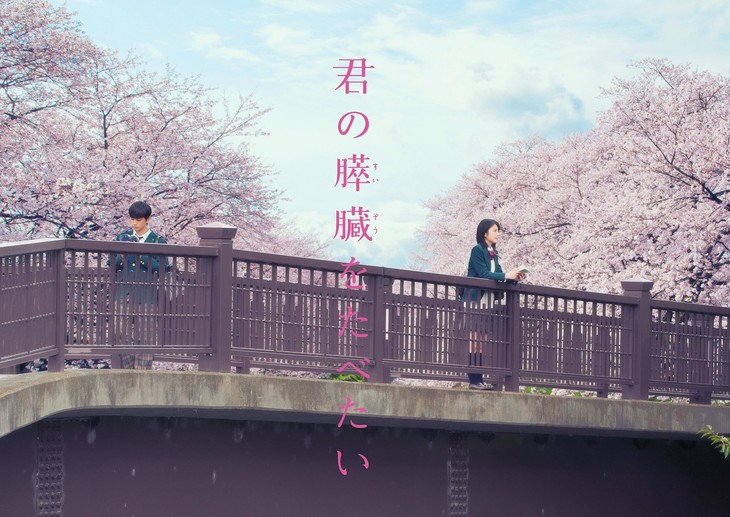 Teaser trailer for movie “I Want to Eat Your Pancreas” | AsianWiki Blog