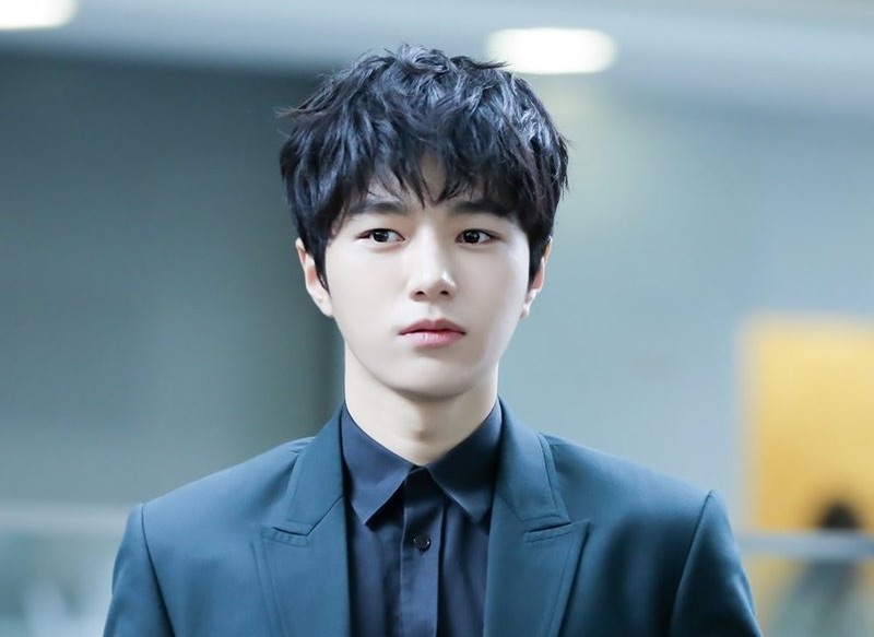 L (Kim Myung-Soo) offered lead male role in drama series ...